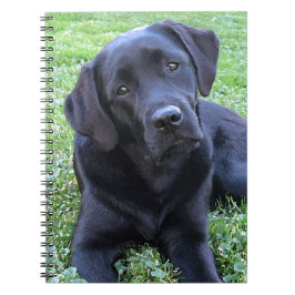 Black Labrador Hund älskare Puppy Anteckningsbok Med Spiral