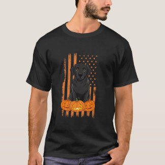 Black Labrador Hund American Flagga Patriotic Hall T Shirt