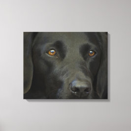 Black Labrador Hund Canvastryck