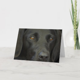 Black Labrador Hund Kort