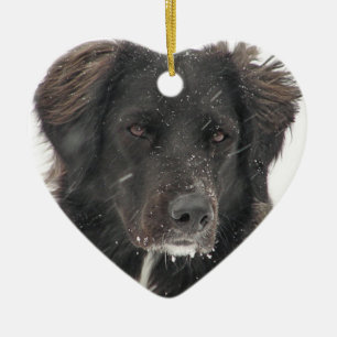 Black Labrador Hund Pet Photo Julgransprydnad Keramik