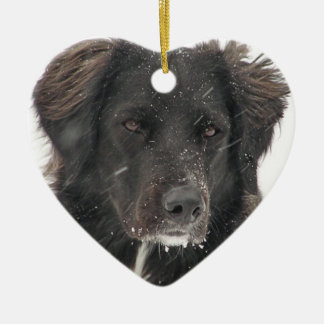 Black Labrador Hund Pet Photo Julgransprydnad Keramik