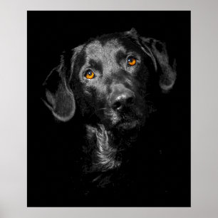 Black Labrador-Hund Poster Kanvastryck-inspiration