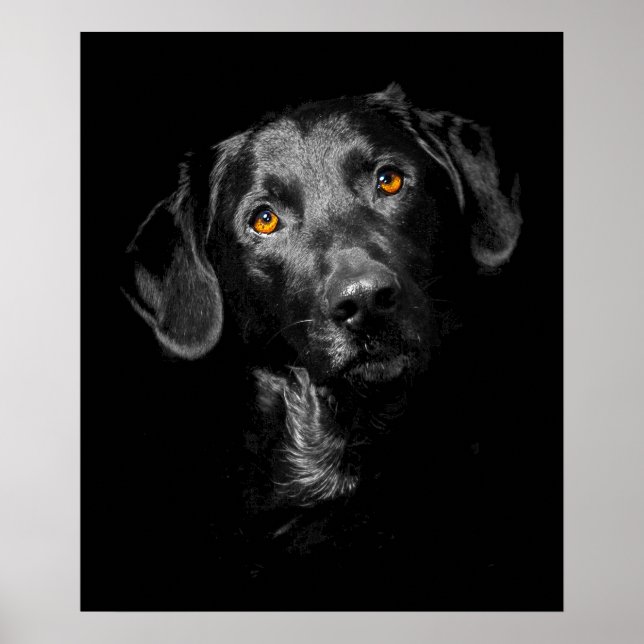 Black Labrador-Hund Poster Kanvastryck-inspiration (Framsidan)