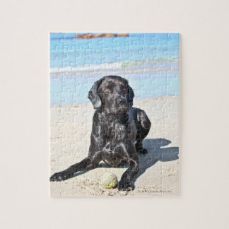 Black Labrador Hund sitta vid Beach Pussel