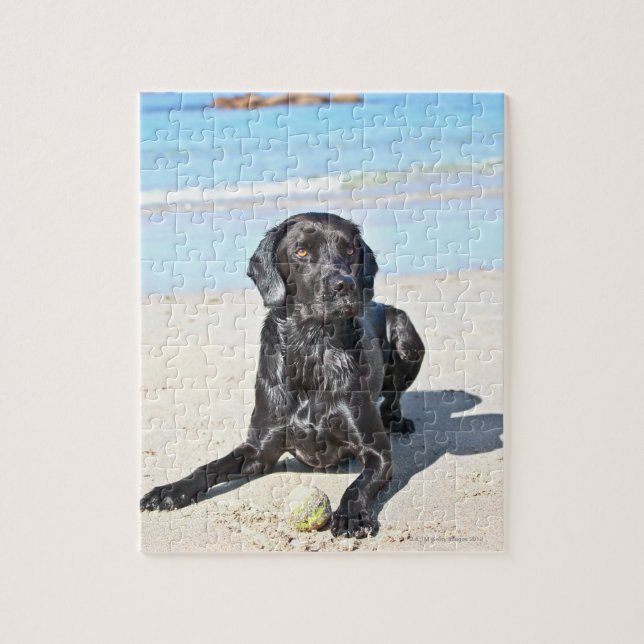 Black Labrador Hund sitta vid Beach Pussel (Vertikal)