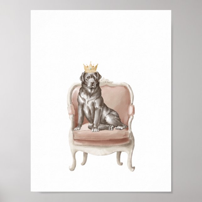 Black Labrador Hund Wearing Royal Krona Poster (Framsidan)