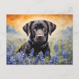 Black Labrador i Bluebonnets Vykort