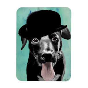 Black Labrador i Bowlareare Hat Magnet