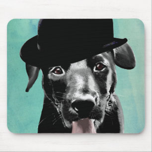 Black Labrador i Bowlareare Hat Musmatta