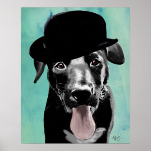 Black Labrador i Bowlareare Hat Poster