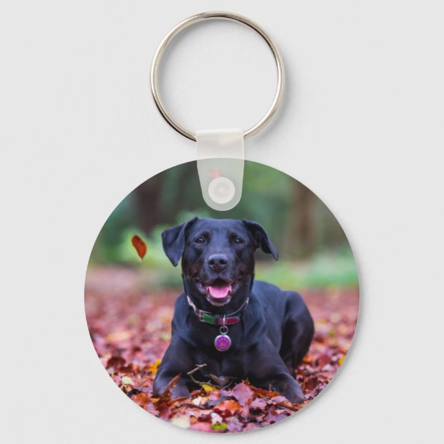 Black Labrador i Höst löv Nyckelring (Framsida)
