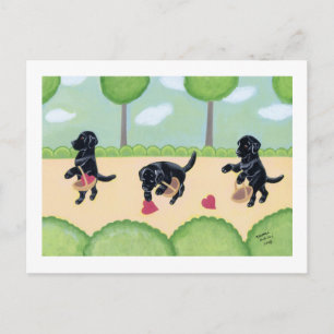 Black Labrador i skogen Vykort