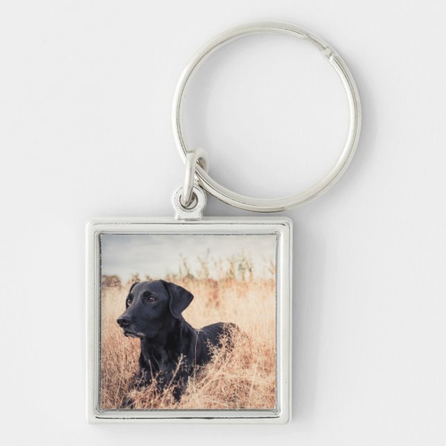 Black Labrador i torrgräs Fyrkantig Silverfärgad Nyckelring (Framsidan)
