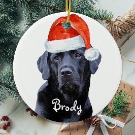 Black Labrador jul Santa Hund Labrador Julgransprydnad Keramik