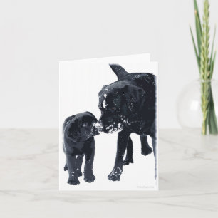 Black Labrador Kärlek - julkort Helgkort