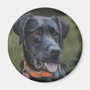 Black Labrador magnet