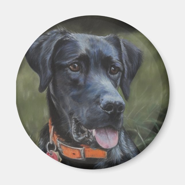 Black Labrador magnet (Framsidan)