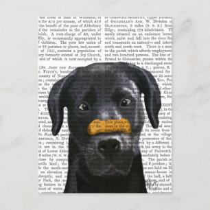 Black Labrador med ben på näsa Vykort
