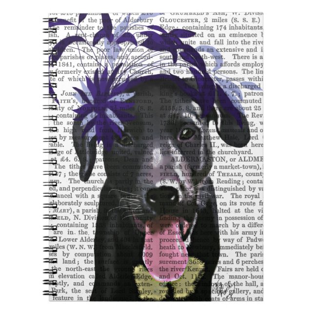 Black Labrador med blå fascinator Anteckningsbok Med Spiral (Framsidan)