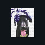 Black Labrador med blå fascinator Canvastryck<br><div class="desc">Husdjur</div>