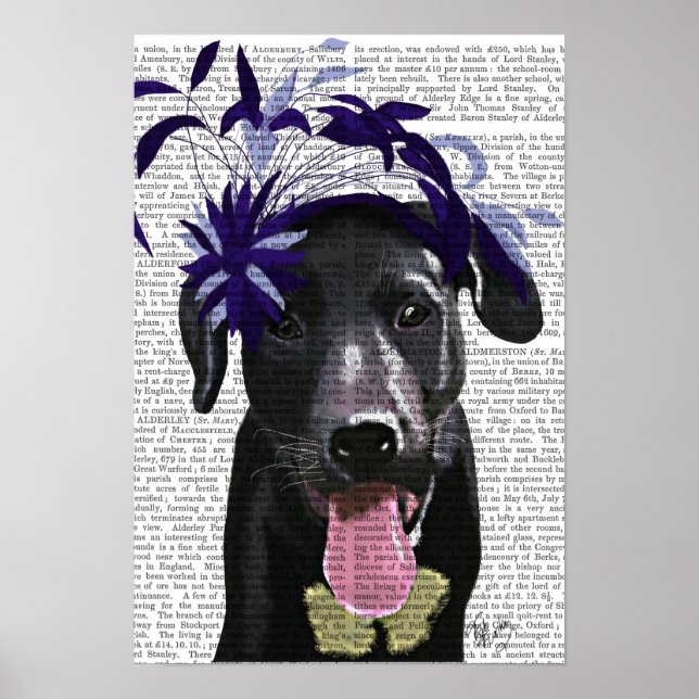 Black Labrador med blå fascinator Poster (Framsidan)