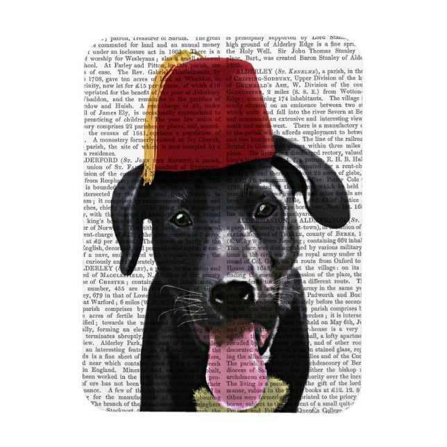 Black Labrador med Fez Magnet (Vertikal)
