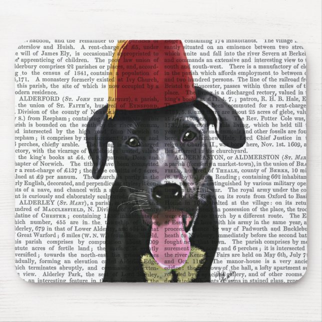 Black Labrador med Fez Musmatta (Framsidan)