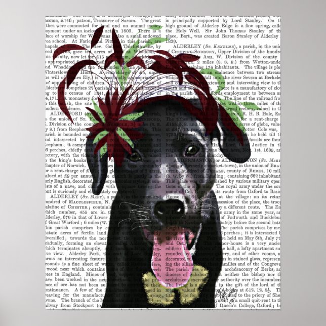 Black Labrador med Grönt Fascinator Poster (Framsidan)