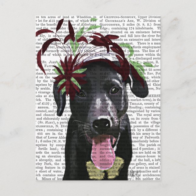Black Labrador med Grönt Fascinator Vykort (Framsida)