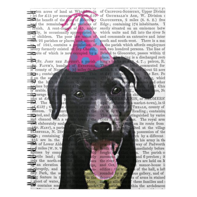 Black Labrador med Party Hat Anteckningsbok Med Spiral (Framsidan)