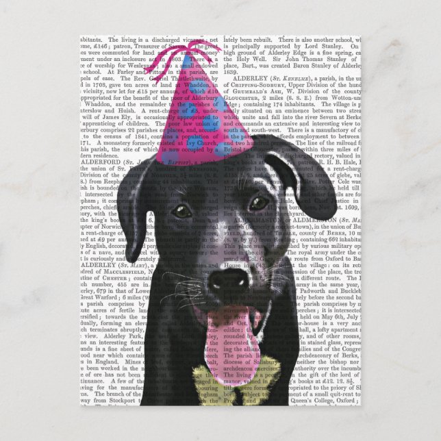 Black Labrador med Party Hat Inbjudan Vykort (Framsida)