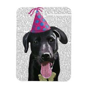 Black Labrador med Party Hat Magnet