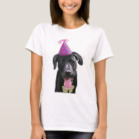 Black Labrador med Party Hat