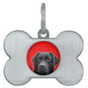 Black Labrador med Red Hearts Namnbricka Husdjur