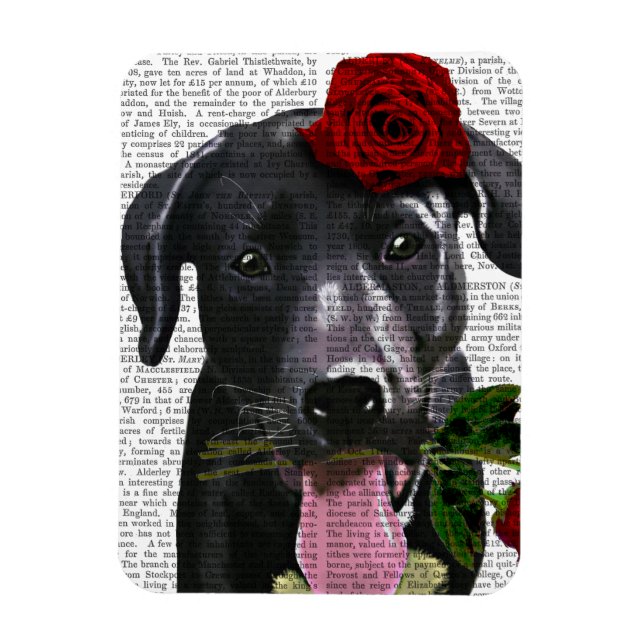 Black Labrador med Ro 2 Magnet (Vertikal)