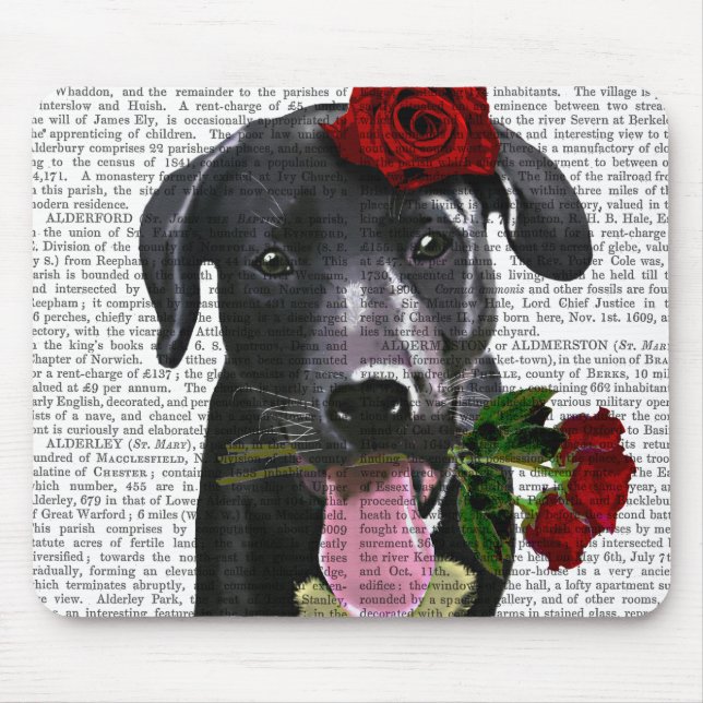 Black Labrador med Ro 2 Musmatta (Framsidan)