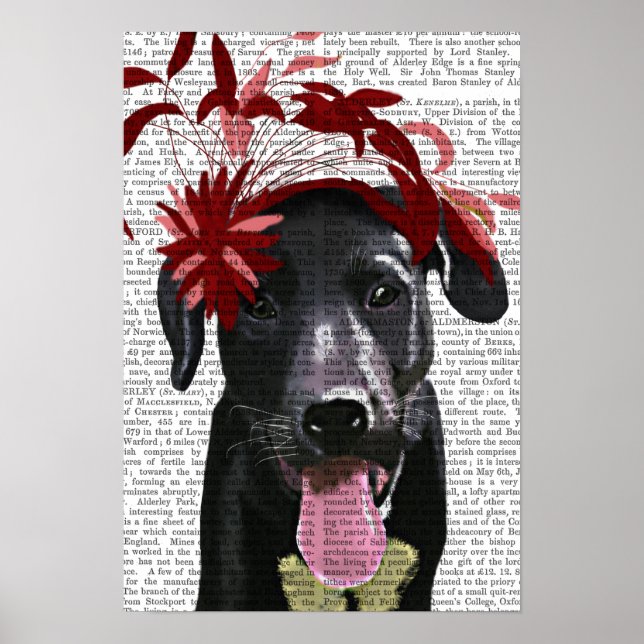 Black Labrador med röd fascinator Poster (Framsidan)
