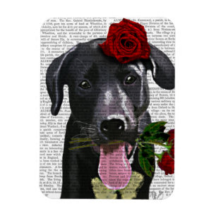 Black Labrador med Rosor Magnet