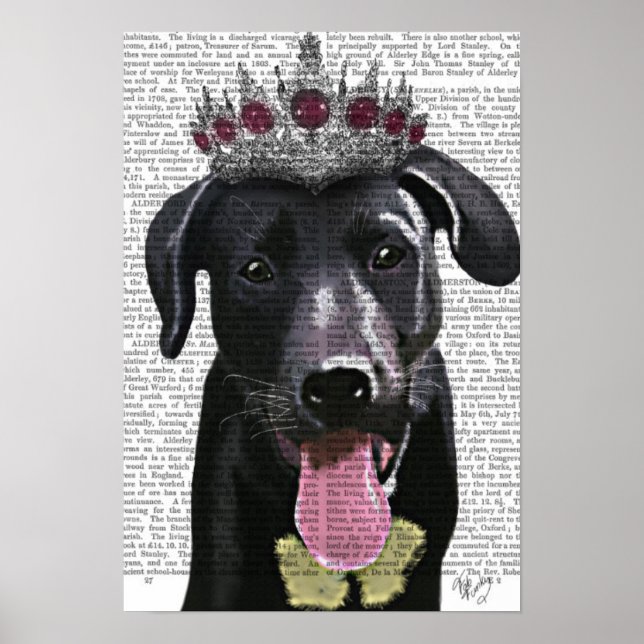 Black Labrador med Tiara Poster (Framsidan)