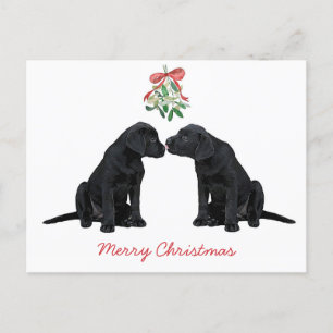 Black Labrador Mistletoe Cute Hund Puppy Helg Vykort