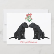 Black Labrador Mistletoe Cute Hund Puppy