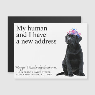 Black Labrador Ny adress Hund Flytta Announement