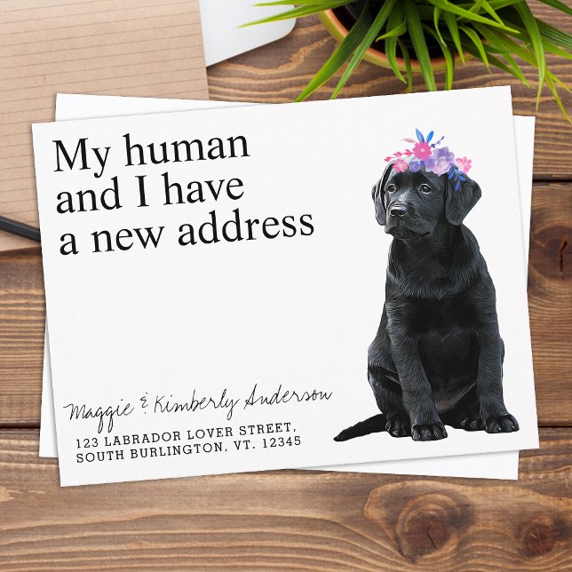 Black Labrador Ny adress Hund Flytta Announement Vykort (Skapare uppladdad)