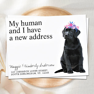 Black Labrador Ny adress Hund Flytta Meddelande Vykort