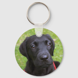 Black Labrador Nyckelring