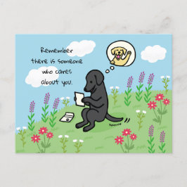 Black Labrador och Brev Någon Cares Vykort