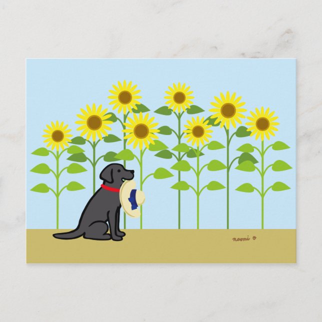 Black Labrador och Sunblommor Summer Vykort (Framsida)