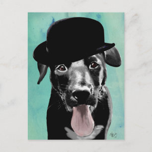 Black Labrador på Bowlareare Hat Vykort
