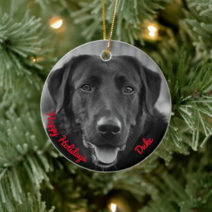 Black Labrador Photo Pet Hund Julgransprydnad Keramik